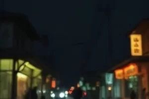 《旧唱片店》靠墙木架上整齐排列的黑胶唱片